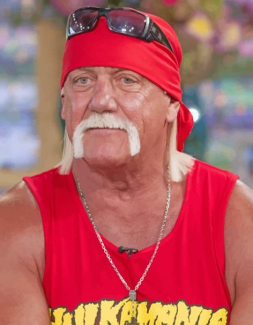 Hulk Hogan WWE Legend Paint By Numbers