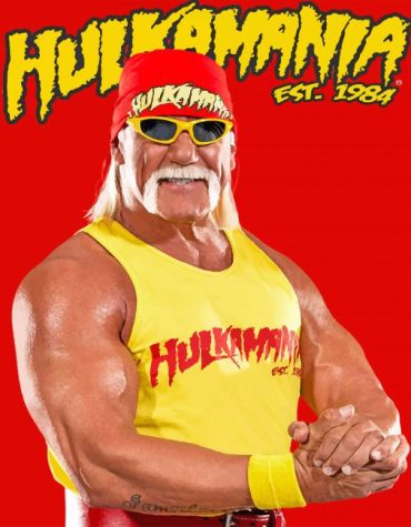 Hulk Hogan Wrestling Icon Paint By Numbers