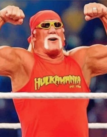 Hulk Hogan WWE Paint By Numbers