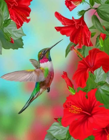 Title: Hummingbird And Flowers Paint By Numbers