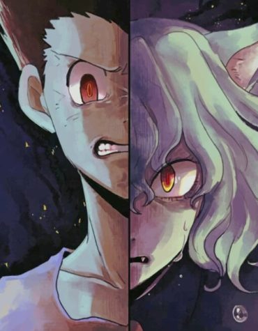 Hunter X Hunter Gon Adventure Paint By Numbers