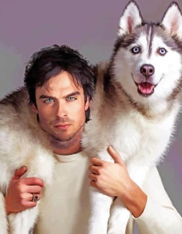 Husky Love with Ian Somerhalder Paint By Numbers