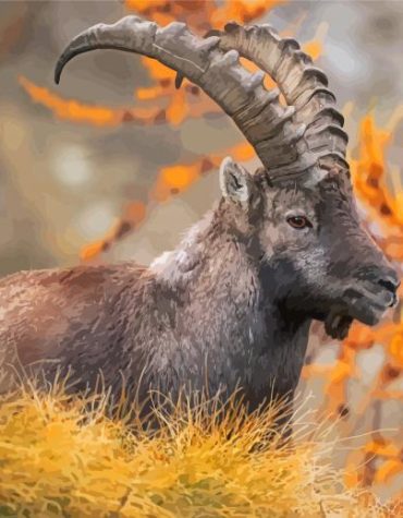 Wild Ibex Adventure Paint By Numbers