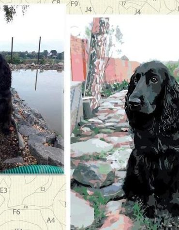 Create Your Own Picture Paint By Numbers