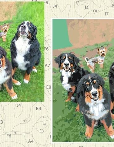 Customizable Frame Paint By Numbers