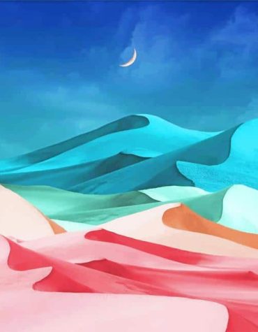 Desert Landscape Illustrations Paint By Numbers