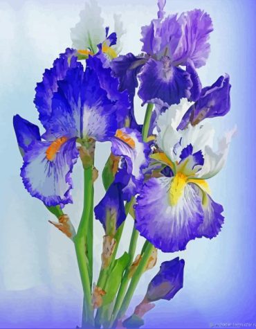 Irises Flower Painting Paint By Numbers