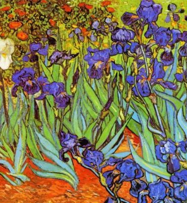 Vincent Van Gogh Irises Paint By Numbers