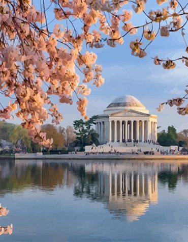 Cherry Blossoms Washington Paint By Numbers