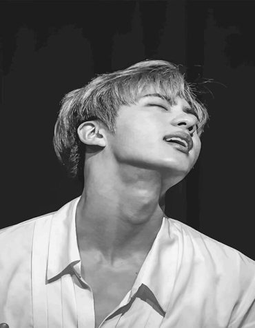 Jin BTS Idol Paint By Numbers