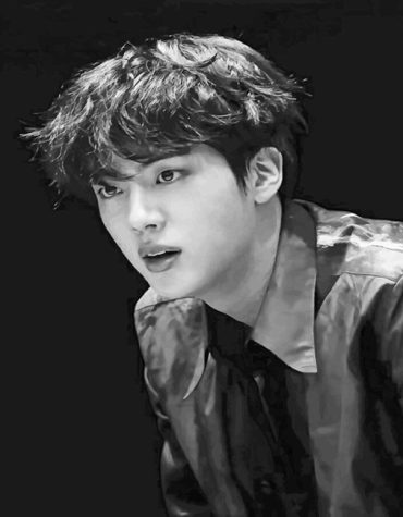 Jin BTS Paint By Numbers