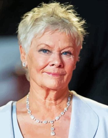 Judi Dench British Star Paint By Numbers