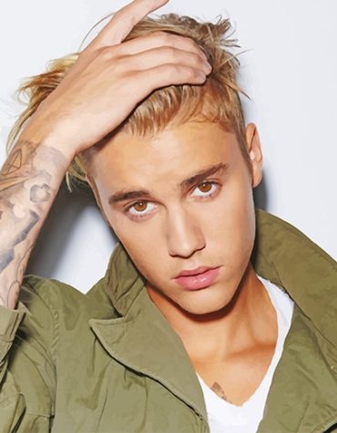 Justin Bieber Songwriter Paint By Numbers