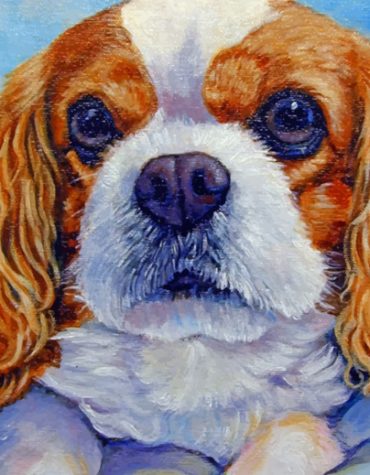 King Charles Puppy Paint By Numbers