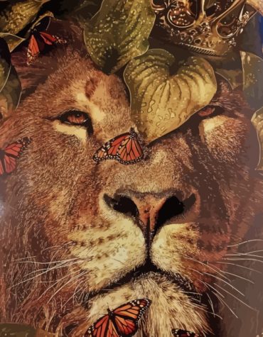 Majestic Lion and Colorful Butterflies Paint By Numbers