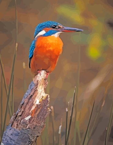 Kingfisher Blue Bird Paint By Numbers