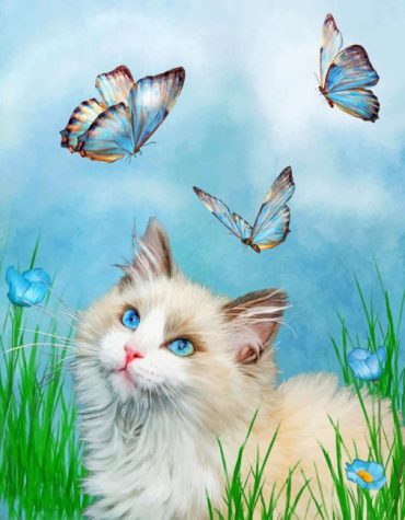 Kitty with Butterflies Paint By Numbers