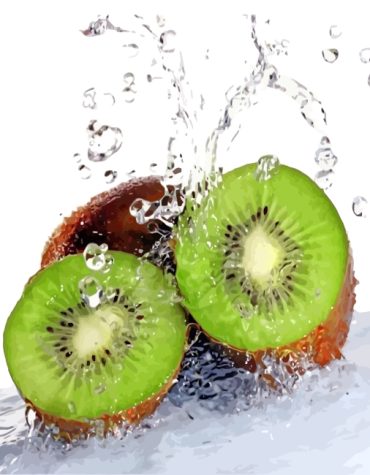 Aesthetic Kiwi Paint By Numbers