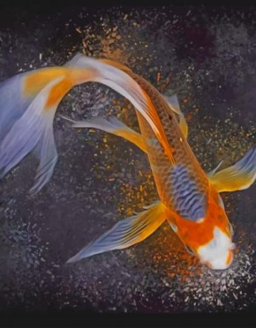 Golden Fishes Paint By Numbers