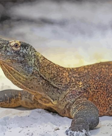 Komodo Dragon Reptile Paint By Numbers