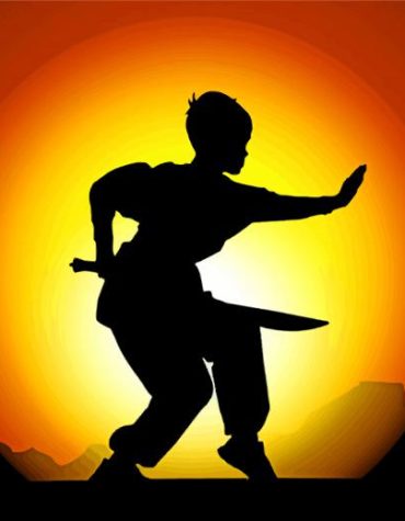 Asian Kung Fu Master Paint By Numbers