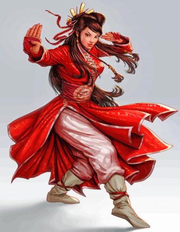 Kung Fu Women Art Paint By Numbers