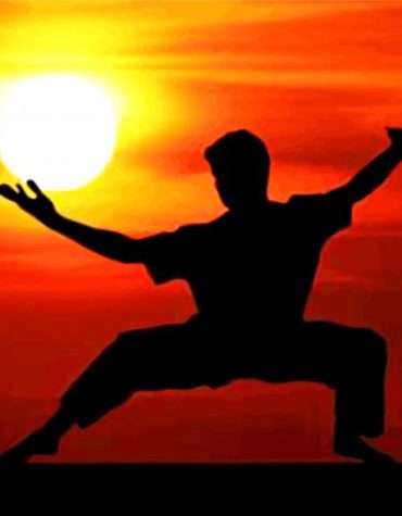 Kung Fu Master Paint By Numbers