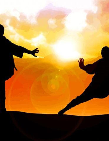 Kung Fu Silhouette Paint By Numbers