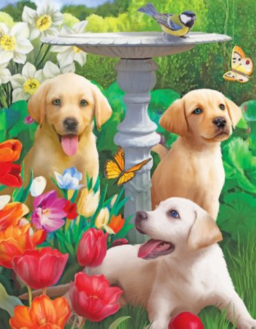 Labrador Dog Painting Paint By Numbers
