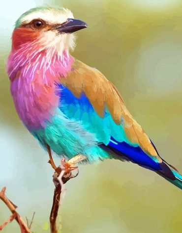 Colorful Lilac-Breasted Roller Paint By Numbers