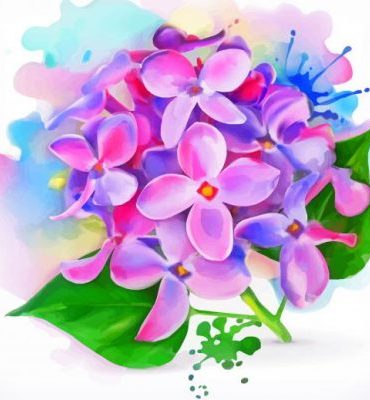 Blooming Lilac Beauty Paint By Numbers