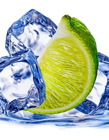 Lime and Lemon Citrus Art Paint By Numbers