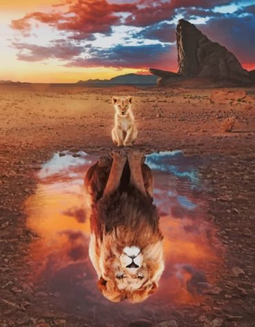 Lion Water Reflection Paint By Numbers