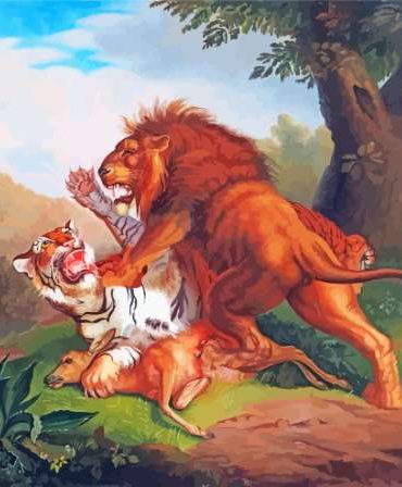 Lion Tiger Battle Paint By Numbers