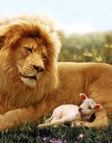 Majestic Lion and Gentle Lamb Paint By Numbers