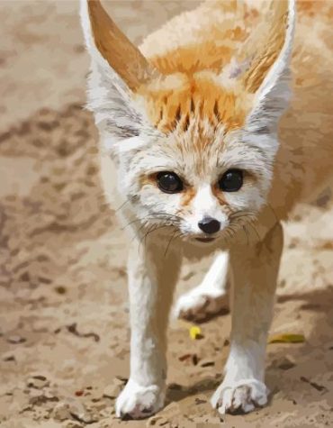 Sandfox Wildlife Paint By Numbers