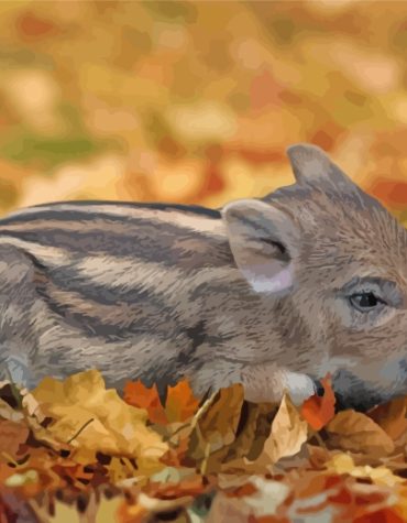 Little Boar Painting Kit Paint By Numbers