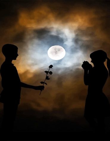 Romantic Moonlight Lovers Paint By Numbers