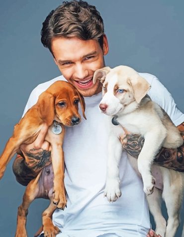 Liam Payne Puppy Love Paint By Numbers