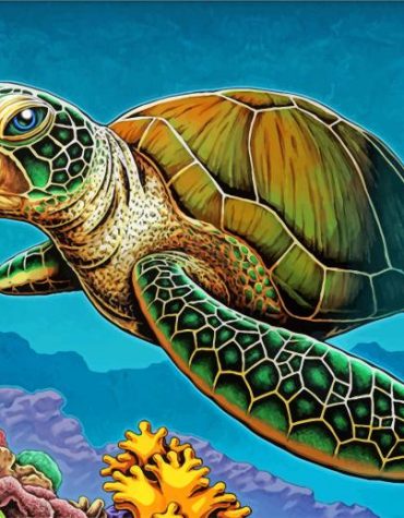 Sea Turtle Journey Paint By Numbers
