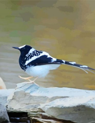 Lonely Forktail Bird Paint By Numbers