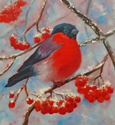 Solitary Bullfinch Paint By Numbers