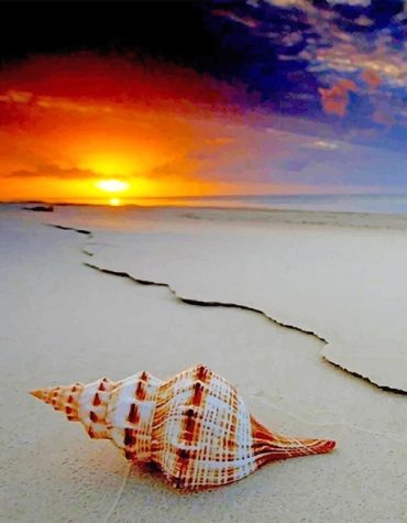 Beautiful Ocean Shellfish Paint By Numbers