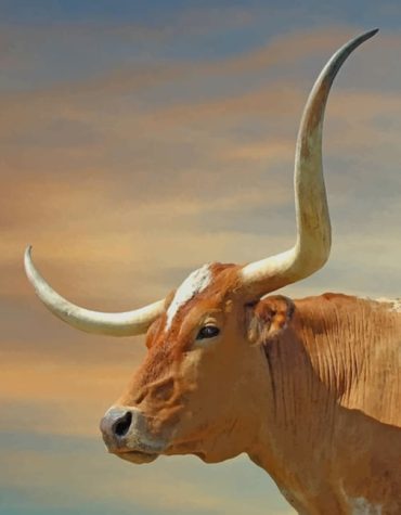 Brown Longhorn Bull Paint By Numbers