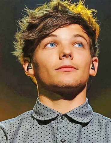 Louis Tomlinson Paint By Numbers