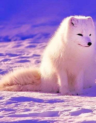 Beautiful Arctic Fox in Snow Paint By Numbers