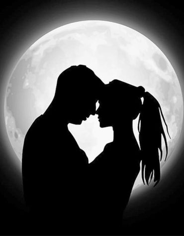 Romantic Moonlit Silhouette Paint By Numbers