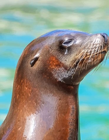 Charming Otter Paint By Numbers