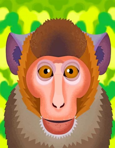 Macaque Monkey Art Paint By Numbers