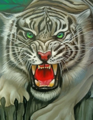Mad Tiger Tiger Art Paint By Numbers